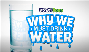 Why We Must Drink Water